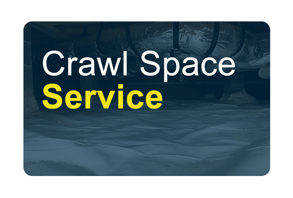 Crawl Space Service